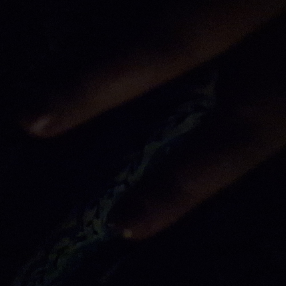 Blanket